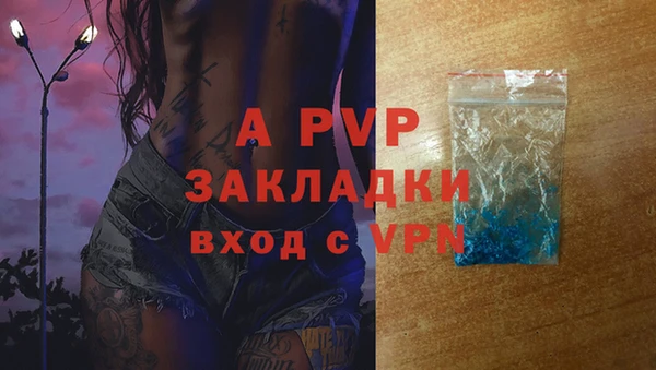 стаф Армянск